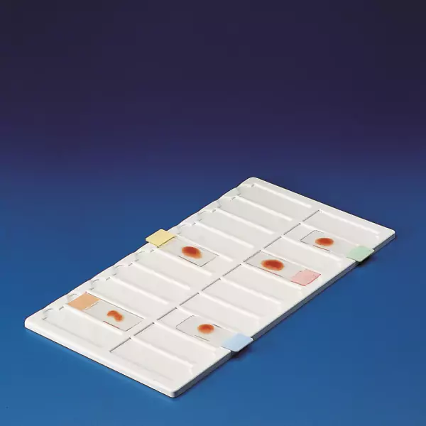 Tray for Microscope Slides